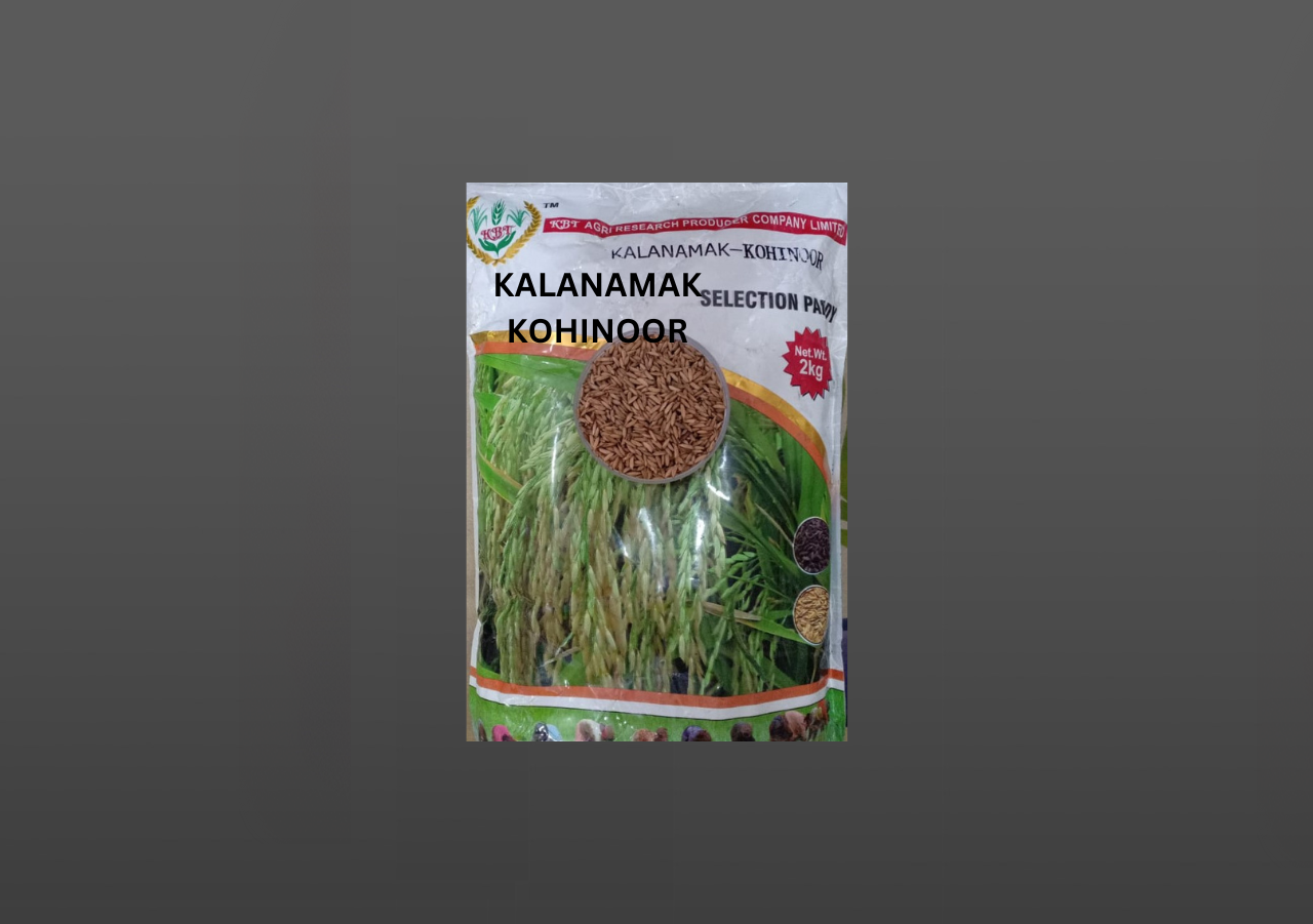 KALANAMAK KOHINOOR (SENTED) PADDY 2Kg
